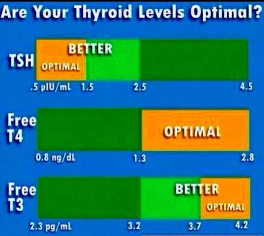 Name: thyroid values.jpg Views: 5729 Size: 39.1 KB