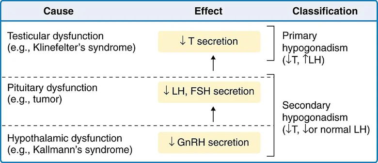 Name: primary and secondary hypogonadism.jpg Views: 2482 Size: 156.8 KB