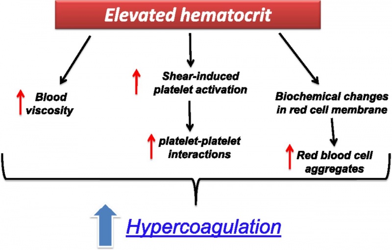 What causes low hematocrit levels?