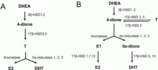 Name: Comparison-of-the-three-las.jpg Views: 8443 Size: 17.8 KB