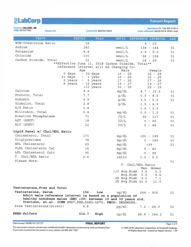 Name: Labs2.jpg Views: 25 Size: 138.7 KB