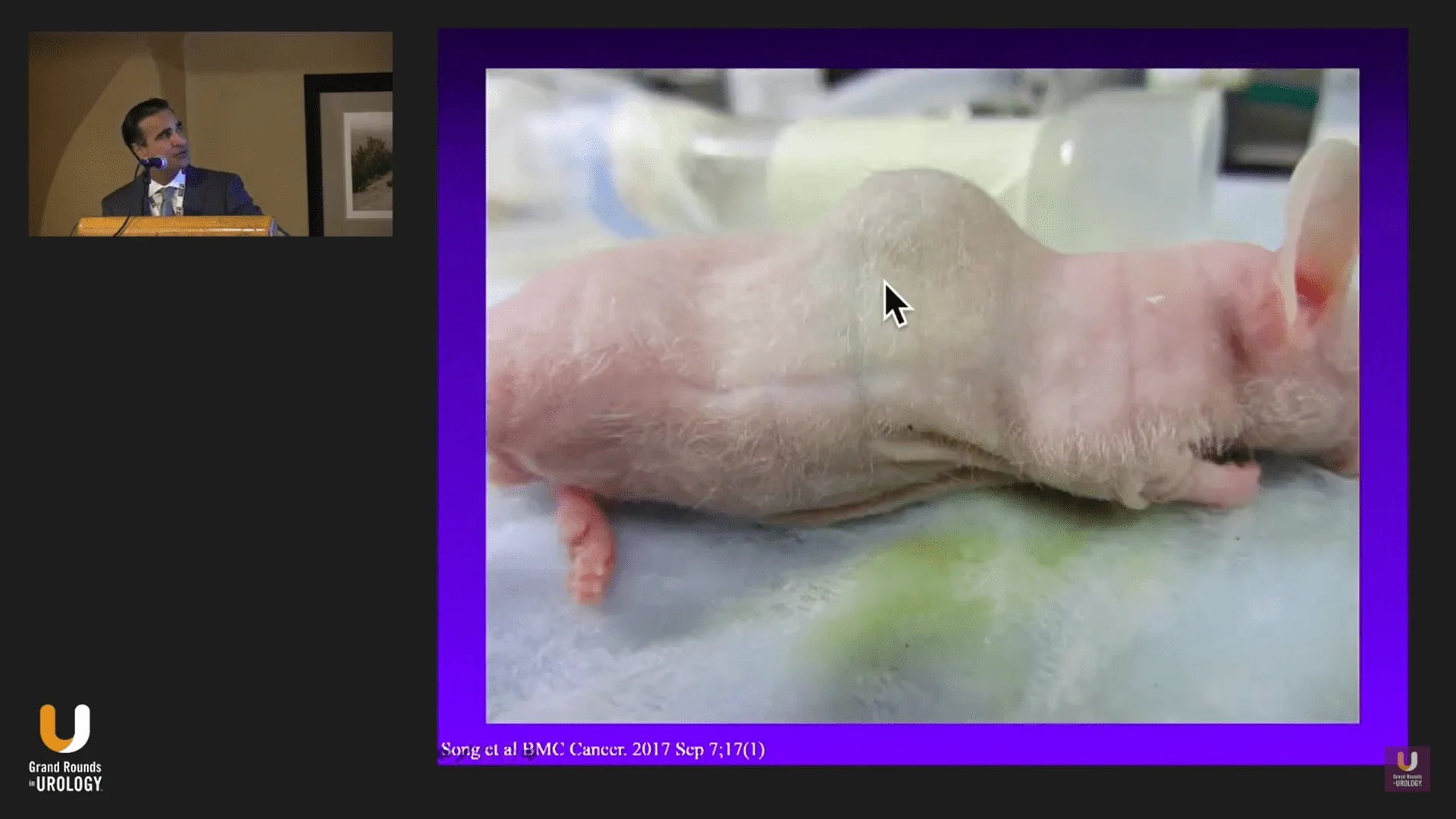 1641333446833.webp