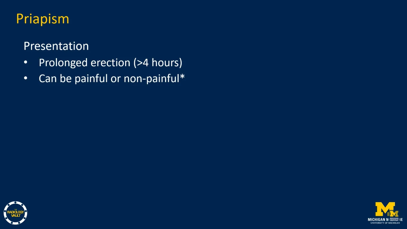 1748211274056.webp