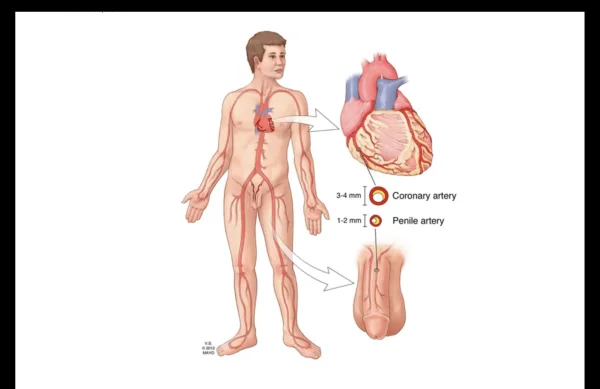 1755316695718.webp