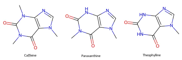 46A2C1AB-8175-4B95-94B4-6950B30F6349.webp