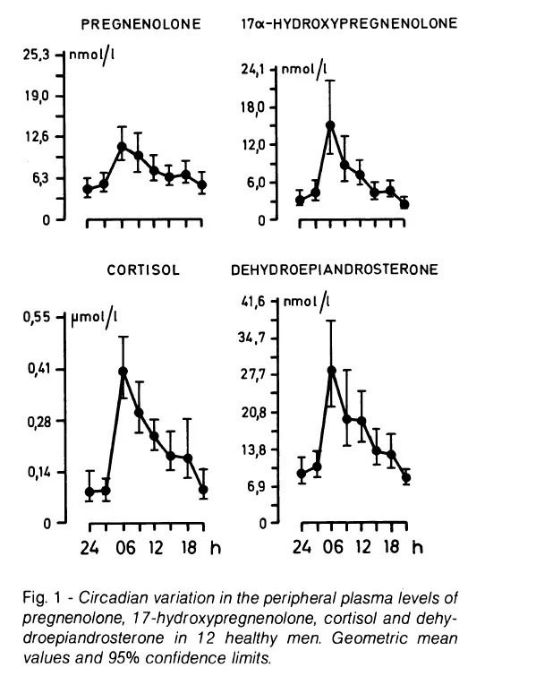 circadian pregnenolone cortisol dhea.webp
