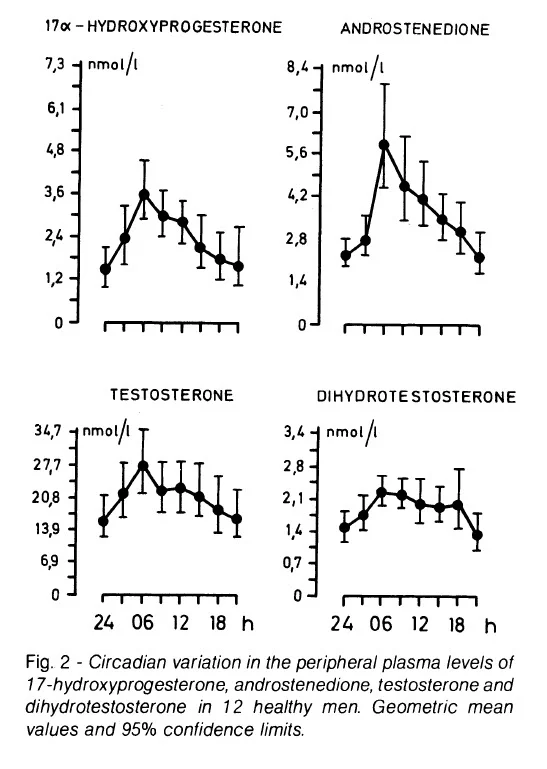 circadian progesterone testosterone dht.webp
