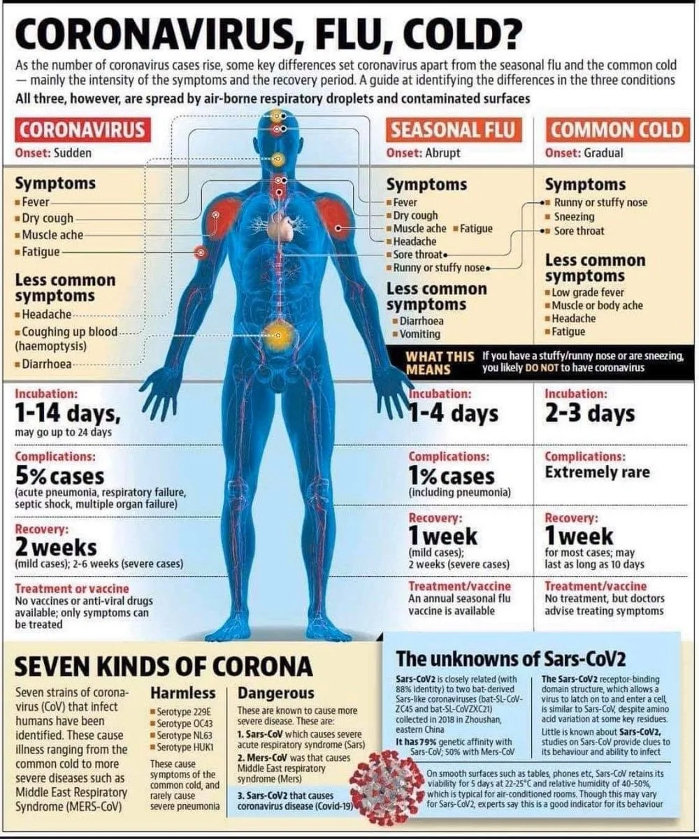 coronavirus covid19.webp