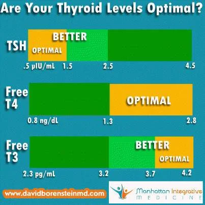 Dr.-Borenstein-optimal-TSH-Free-T4-Free-T3[1].webp