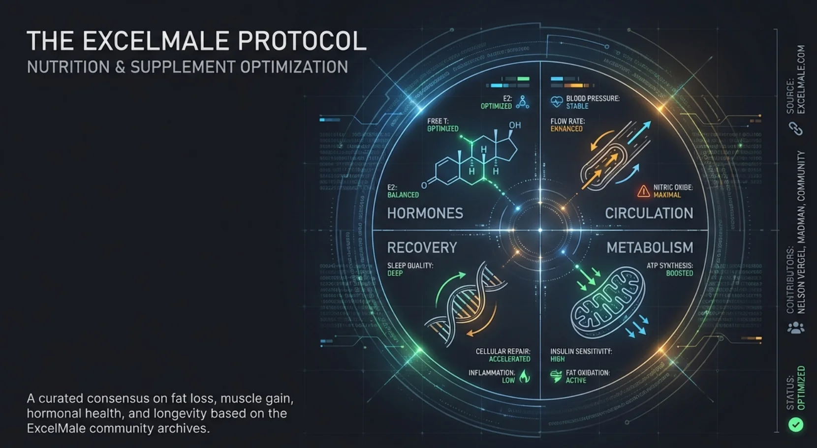 excelmale nutrition protocol.webp