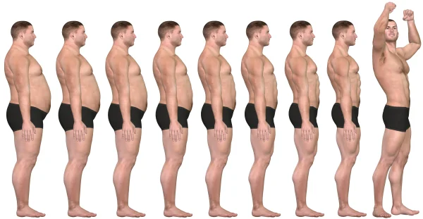 fat loss.webp