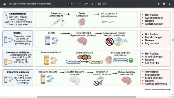 Fertility Protocols.webp