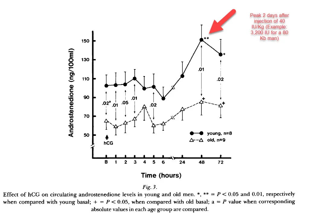 Raising Pregnenolone, Progesterone and DHEA with HCG Excel Male TRT Forum