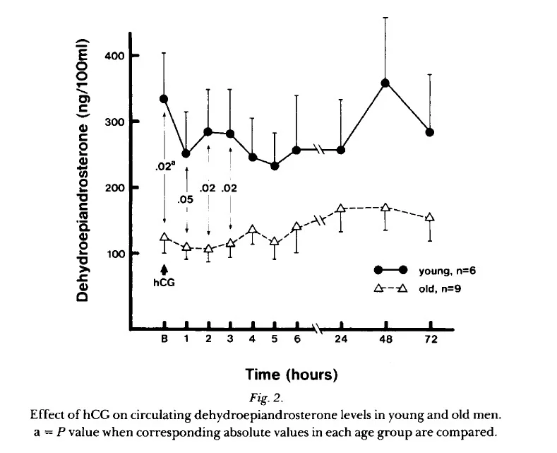 Raising Pregnenolone, Progesterone and DHEA with HCG Excel Male TRT Forum