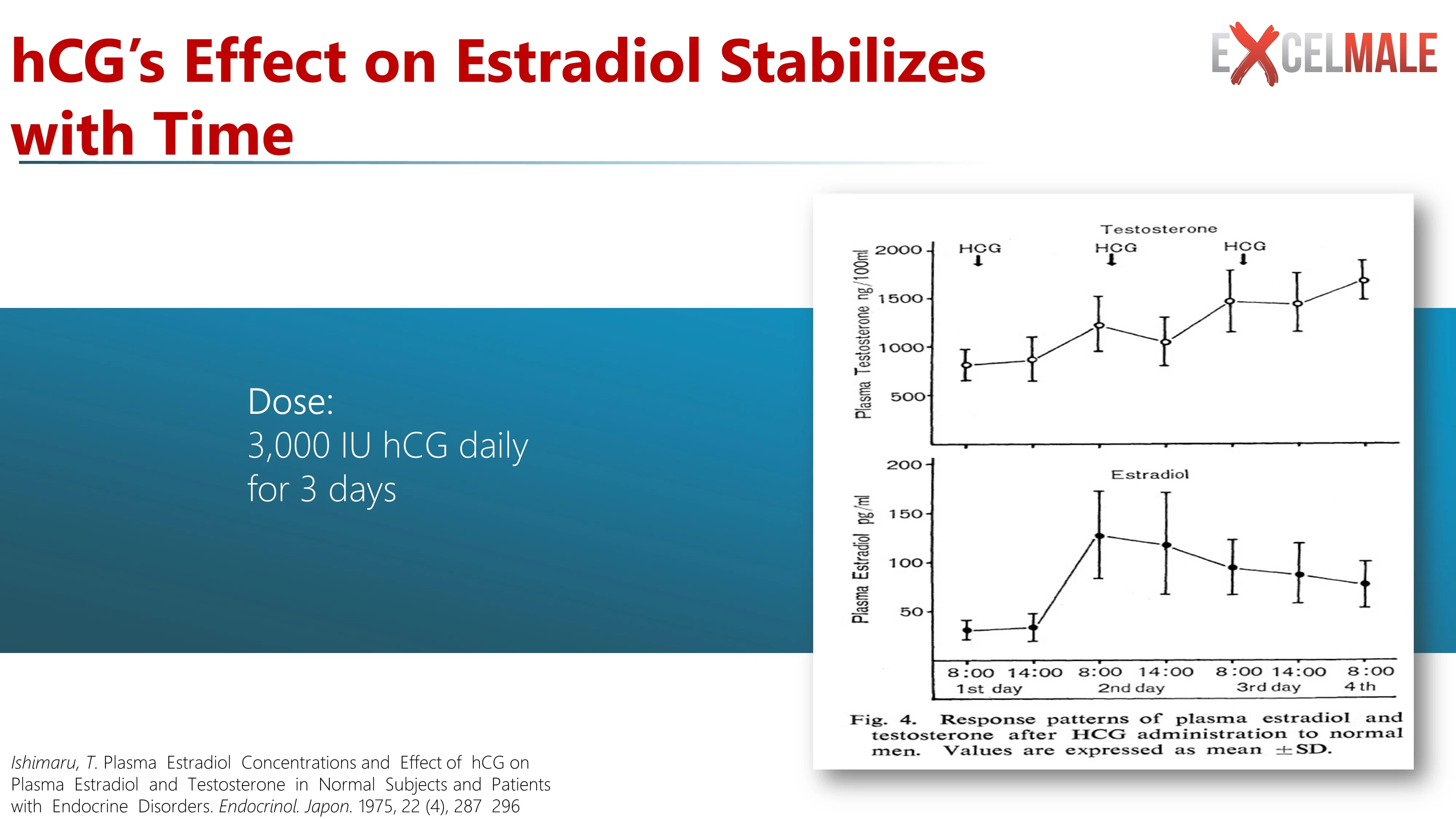hcg effect on estradiol.jpg