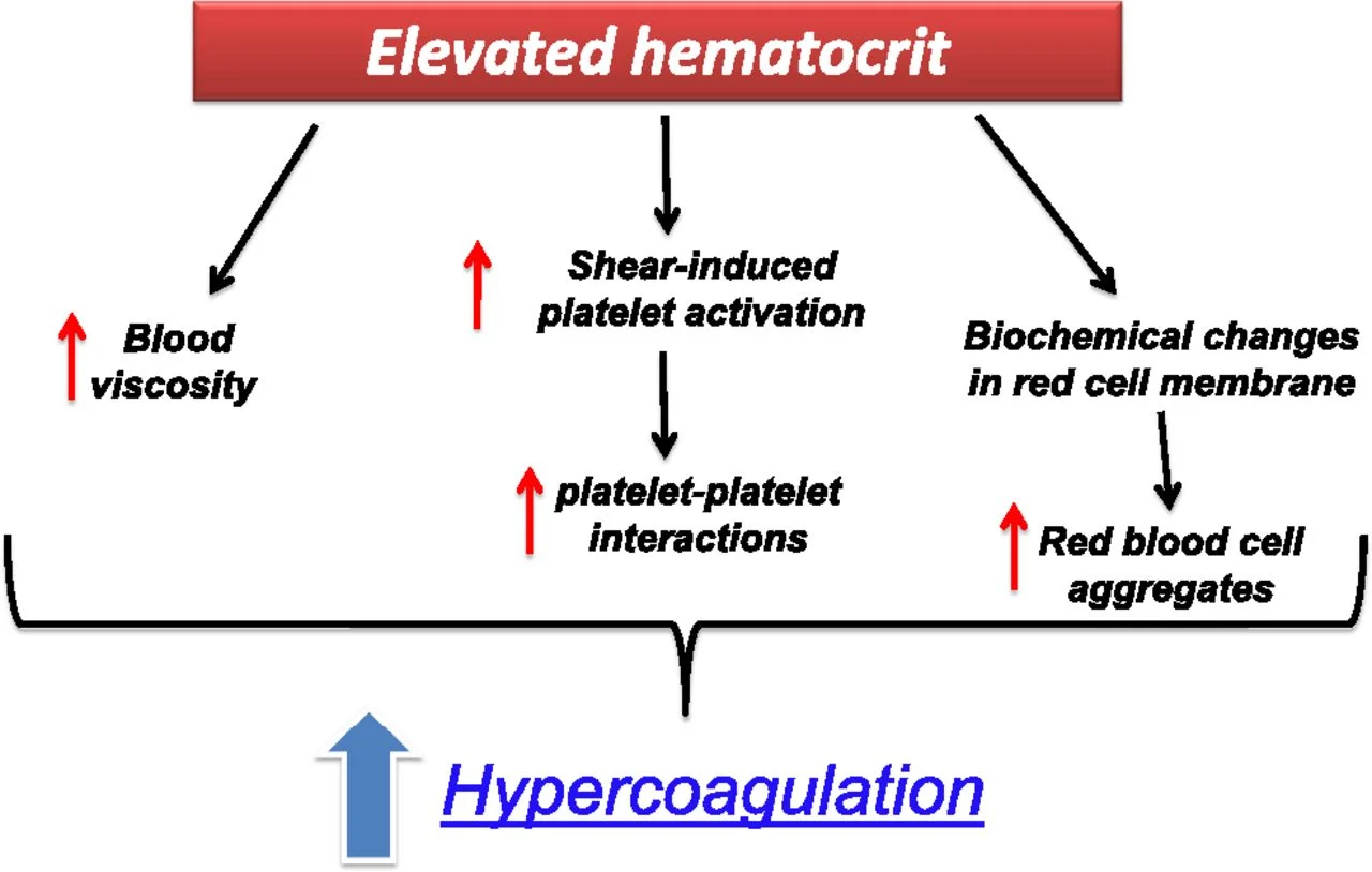 high hematocrit dangers.webp