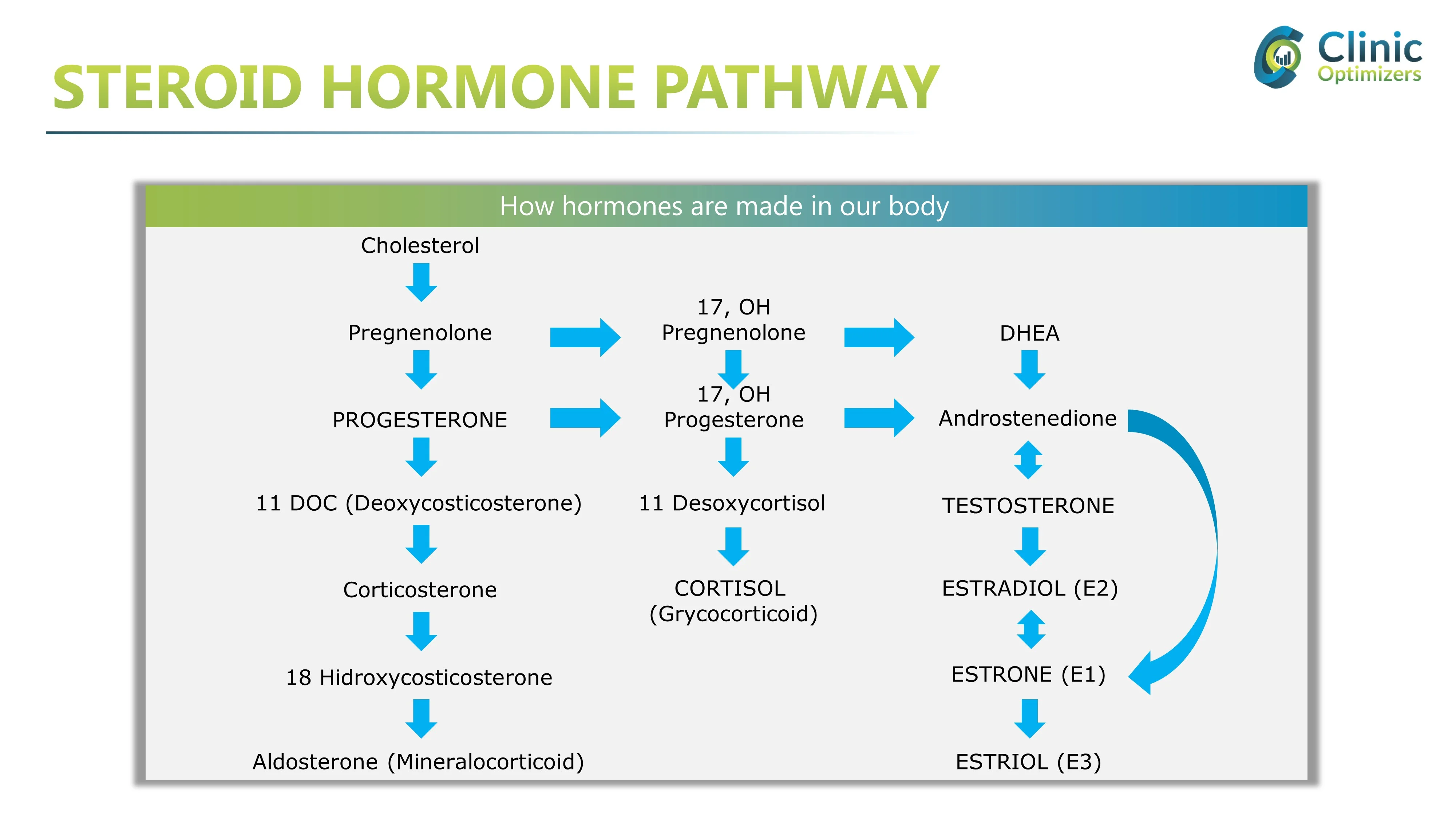 Raising Pregnenolone, Progesterone and DHEA with HCG Excel Male TRT Forum