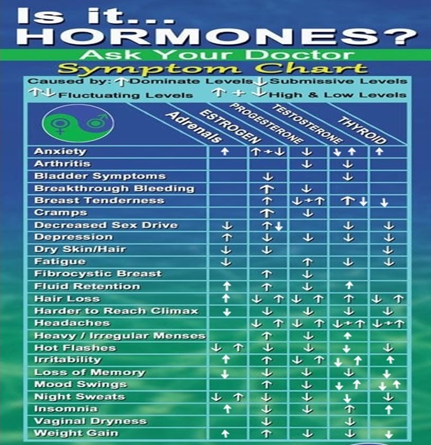 hormone chart.jpg