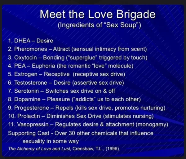 libido hormones.webp