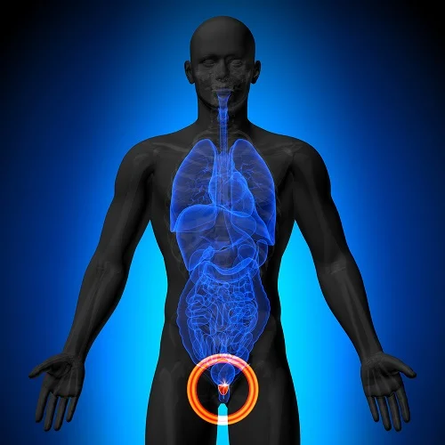 prostate BPH PSA Test.webp