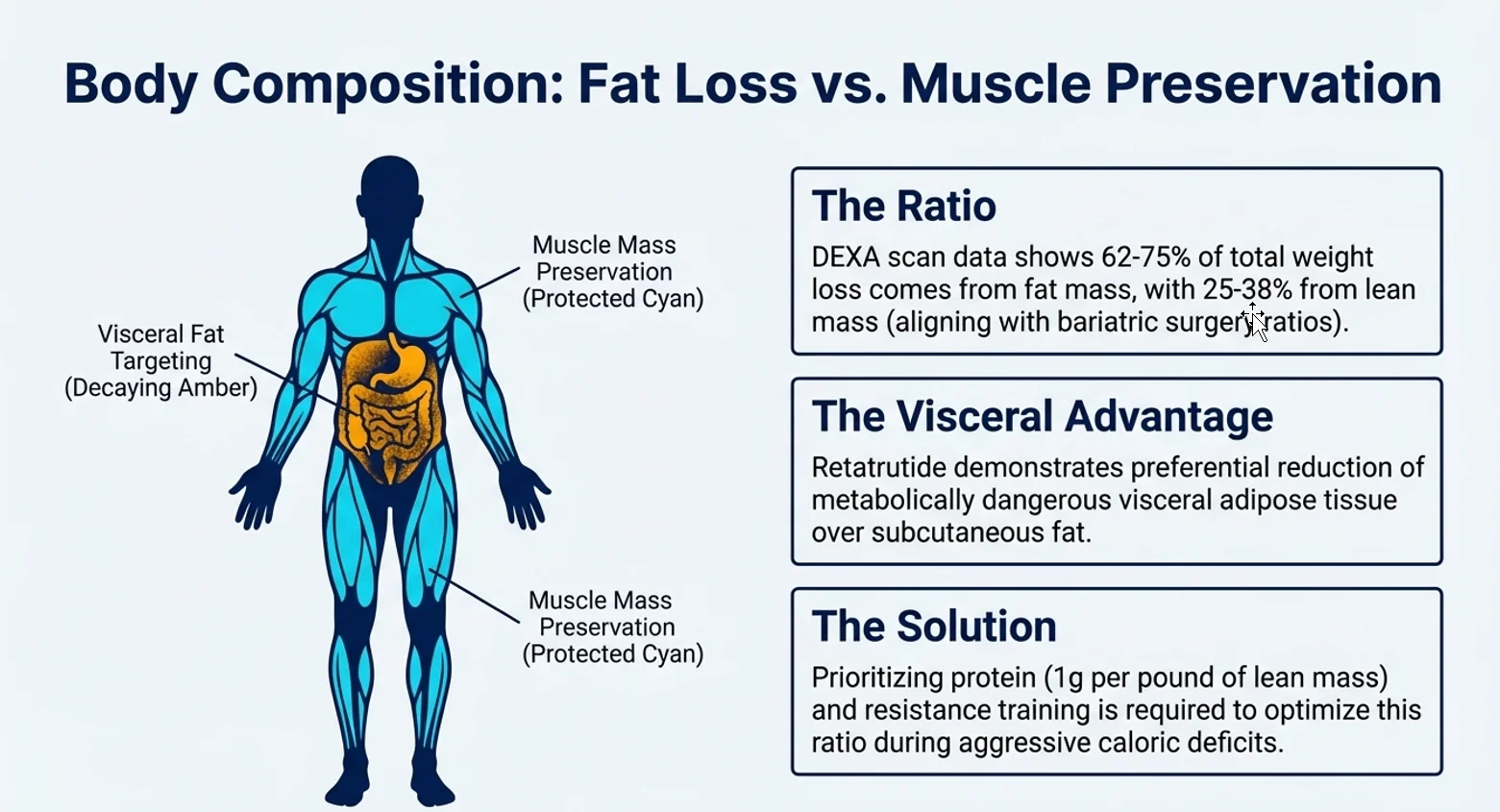 retratutide body composition.webp