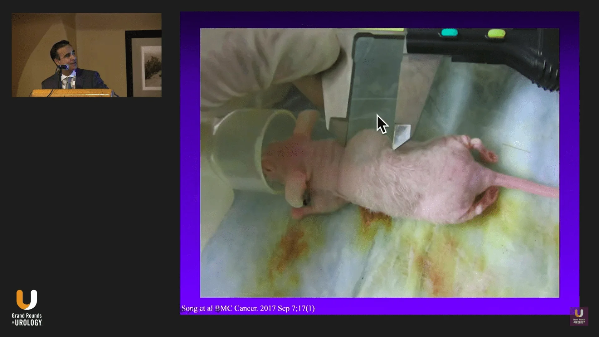 Screenshot (10255).webp
