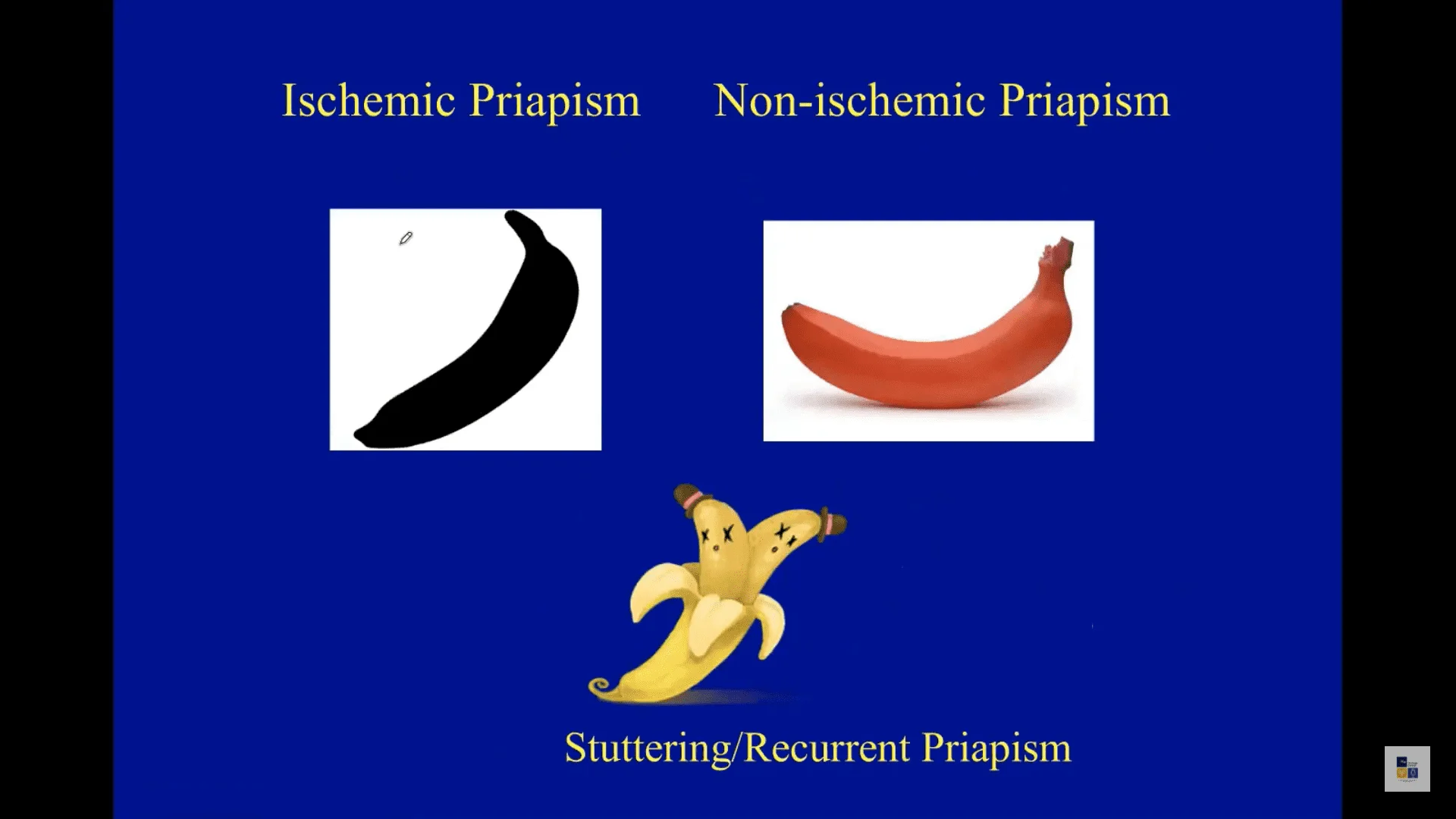 Screenshot (10397).png