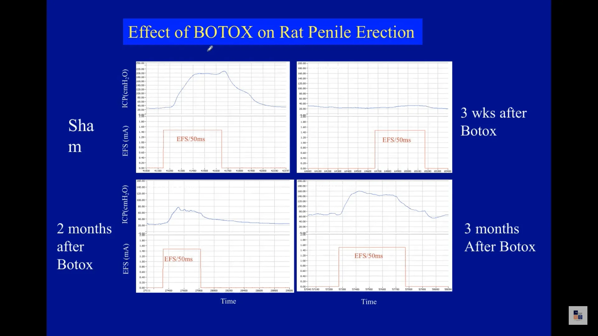 Screenshot (10442).webp