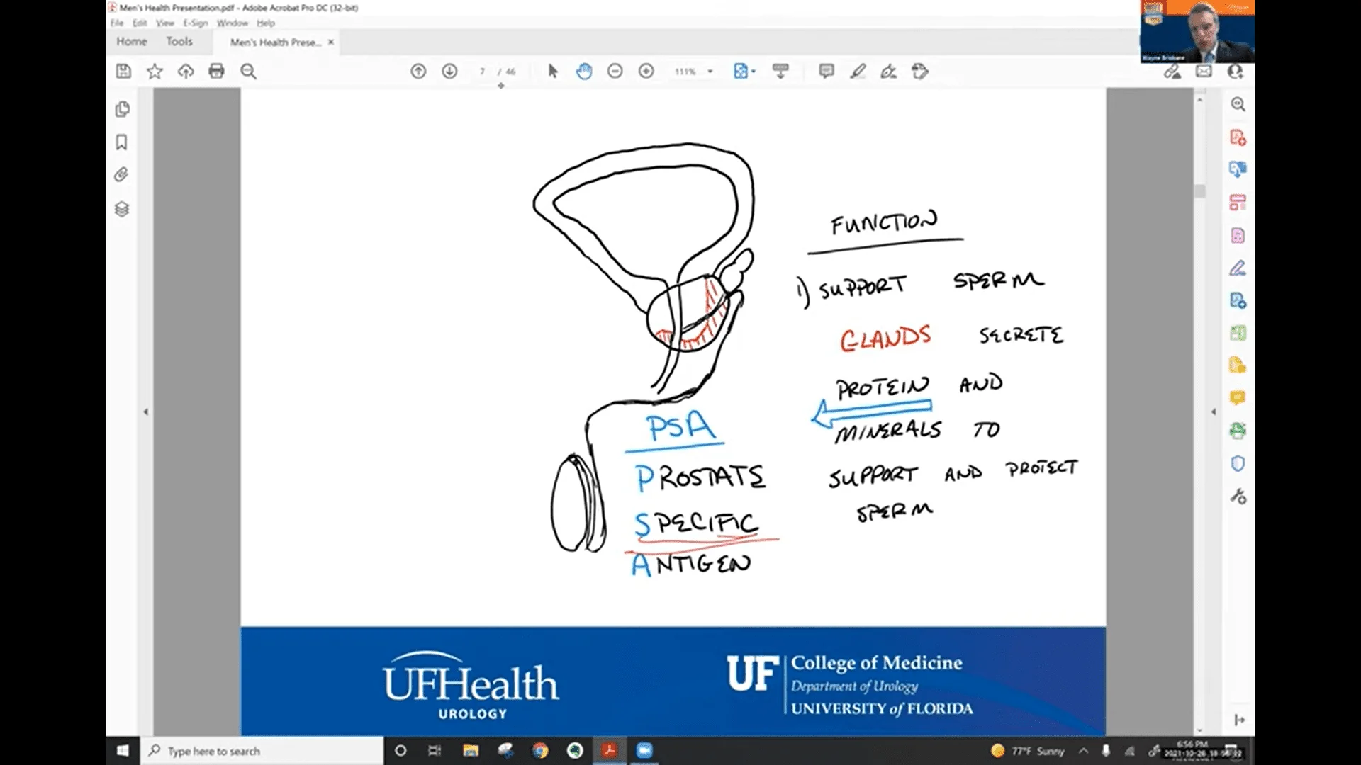 Screenshot (11659).webp