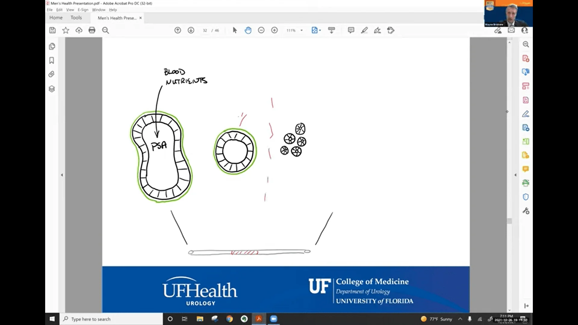 Screenshot (11695).webp