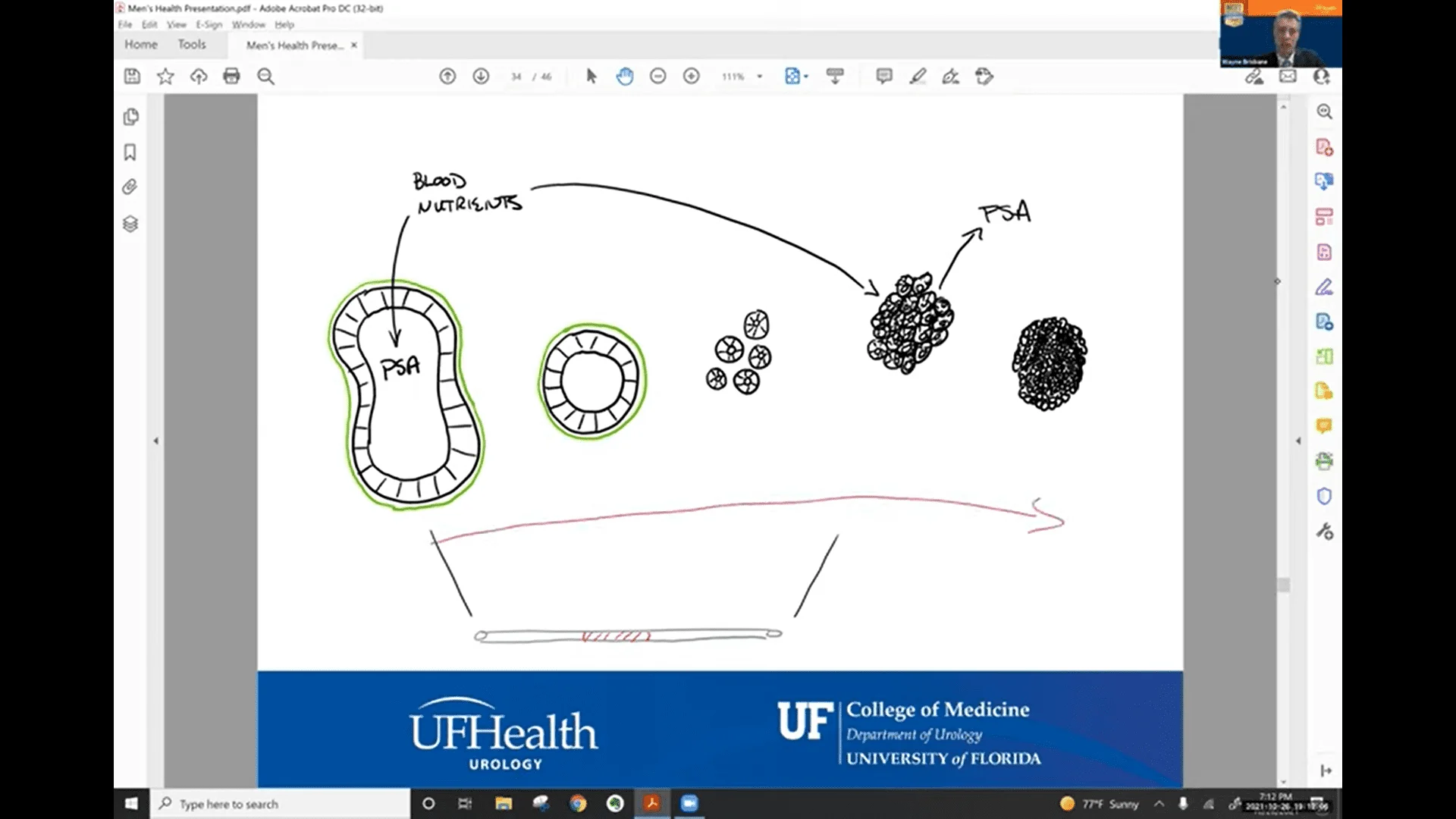 Screenshot (11698).webp
