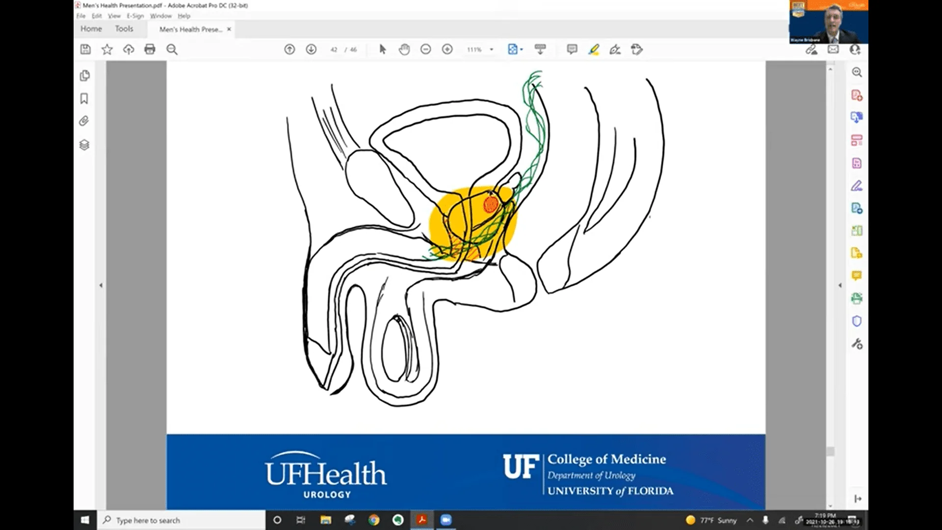 Screenshot (11729).webp