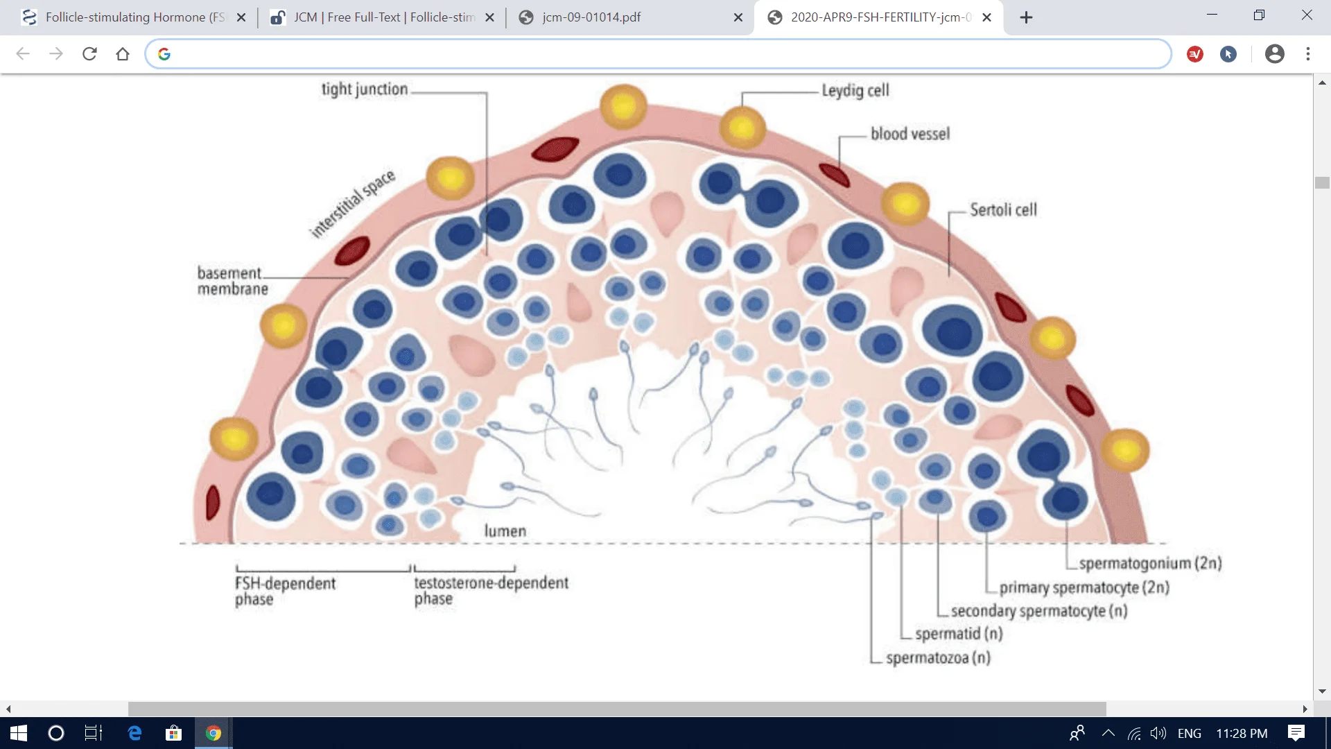 Screenshot (1305).webp