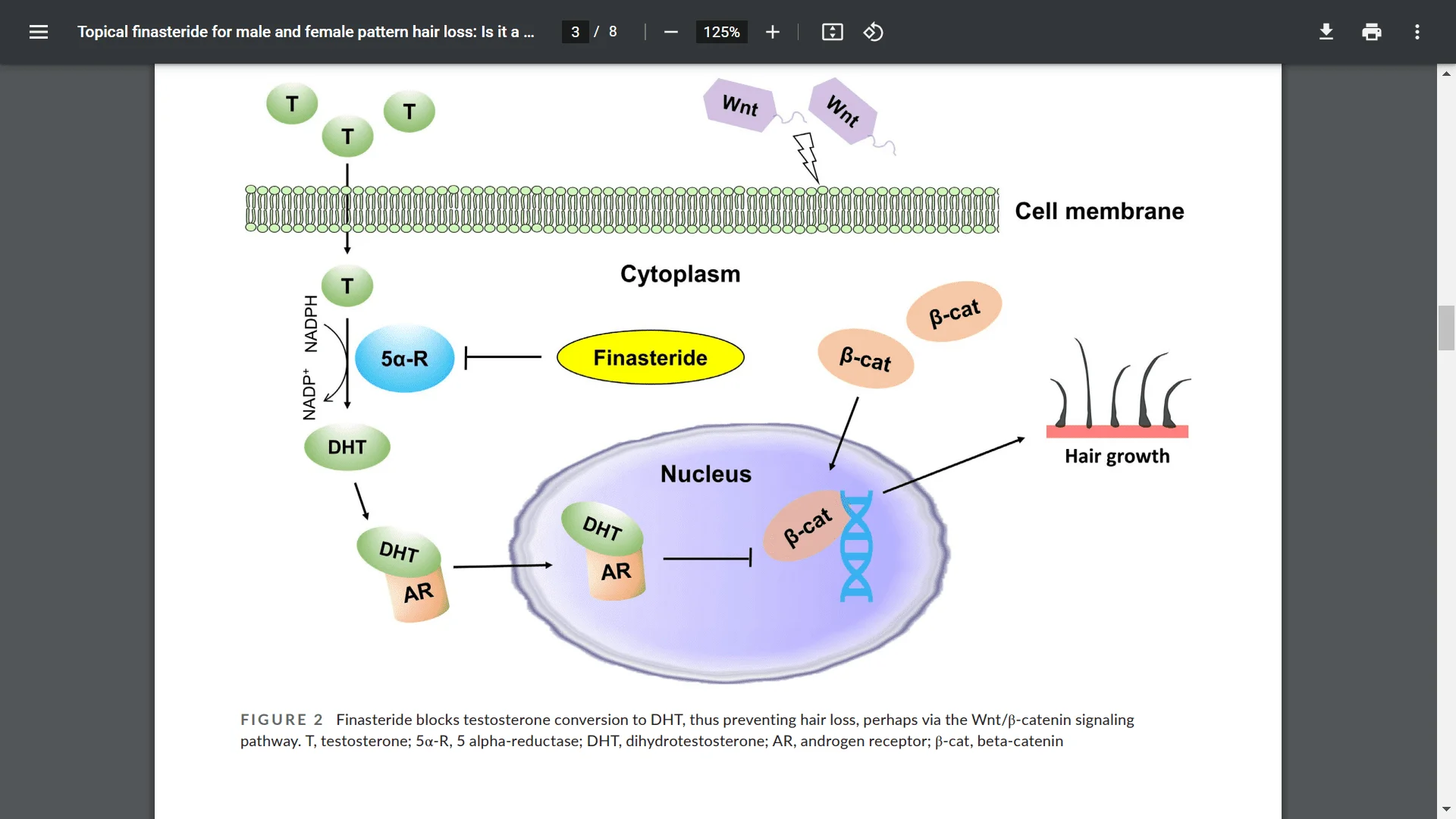 Screenshot (13170).webp