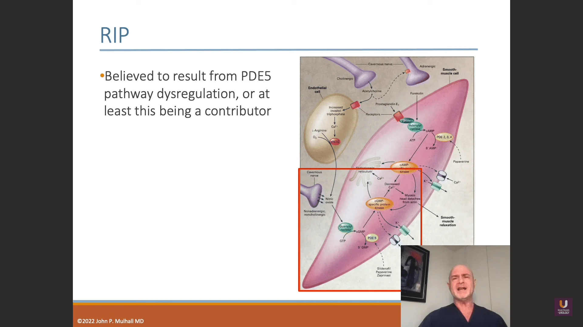 Screenshot (14041).png