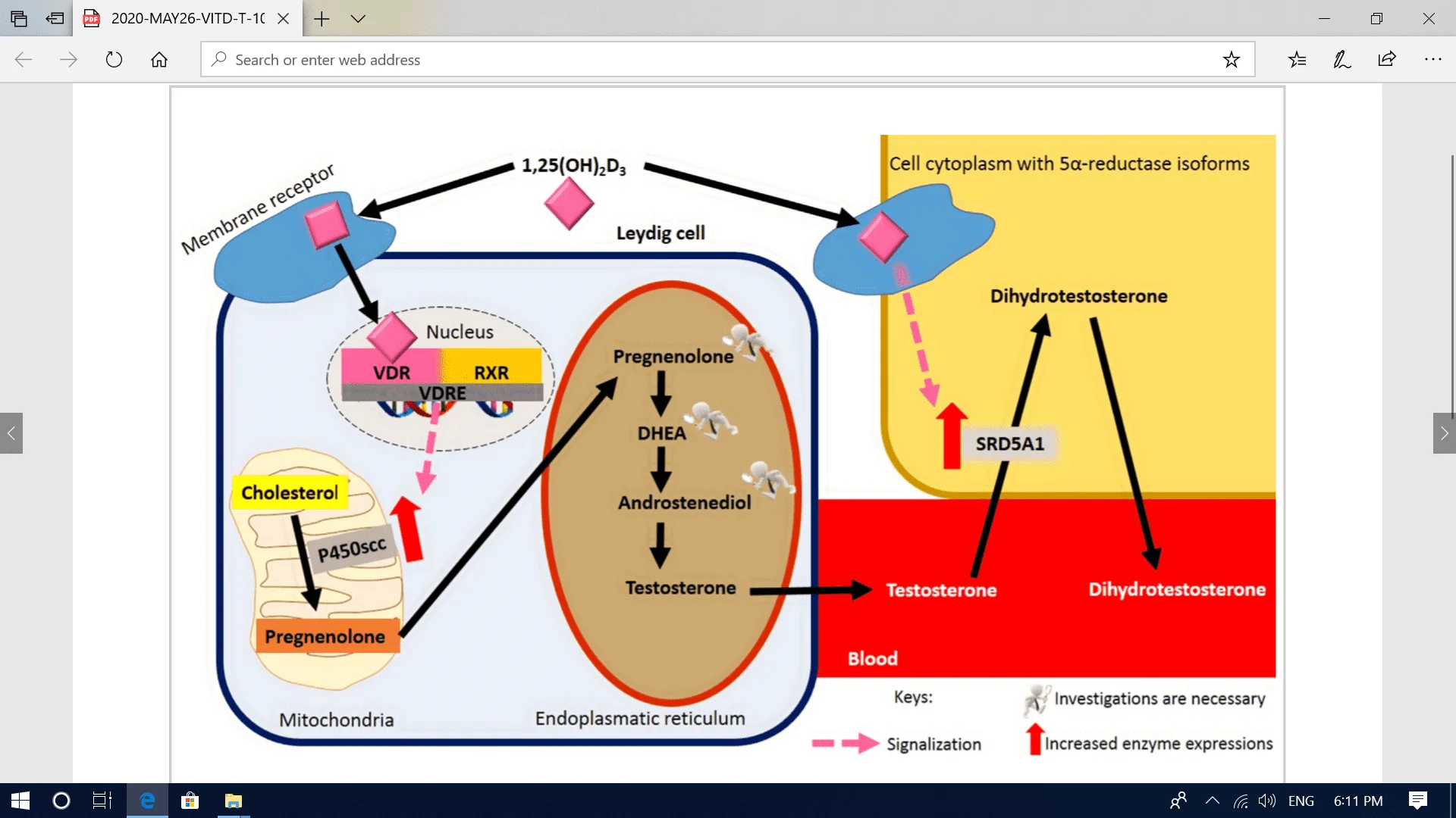 Screenshot (1450).webp