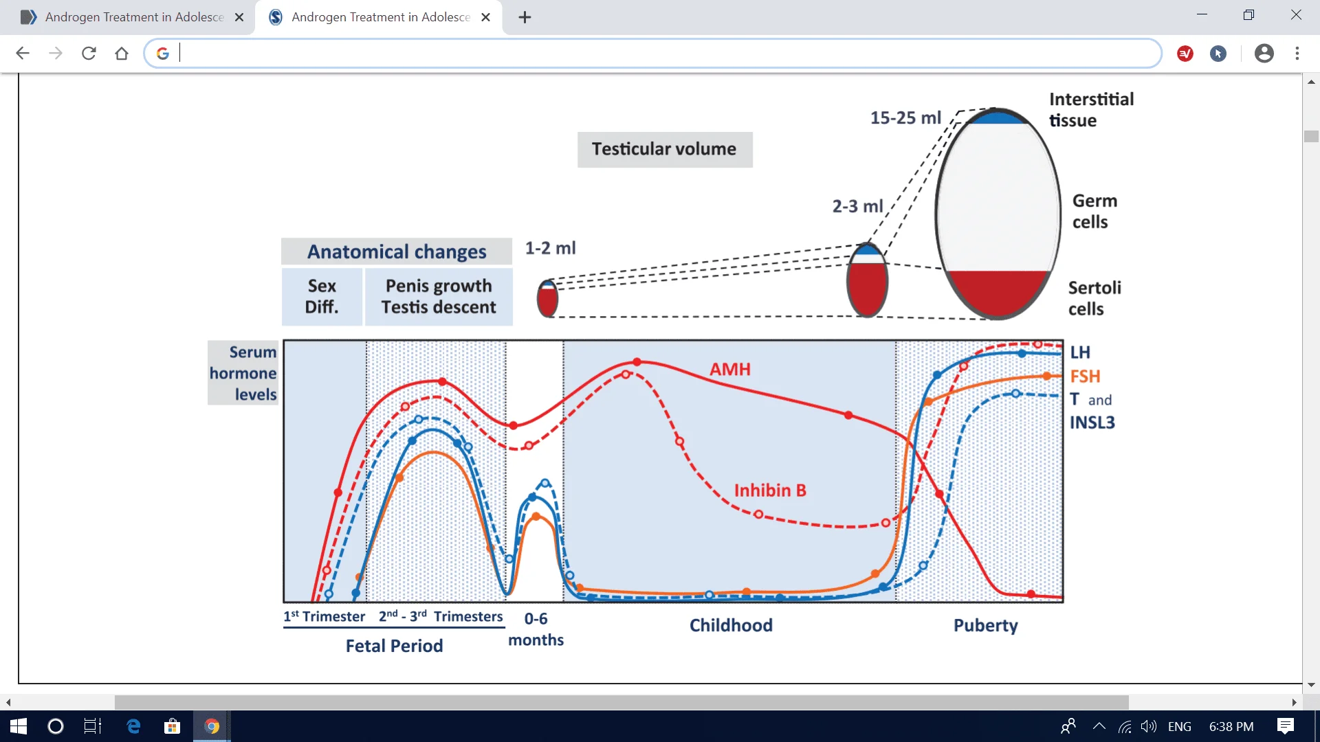 Screenshot (1451).webp