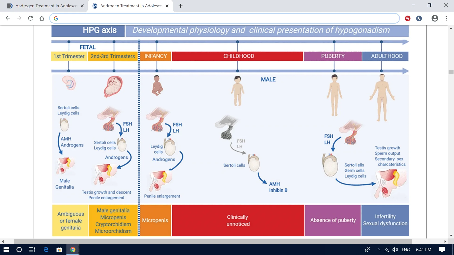 Screenshot (1452).webp