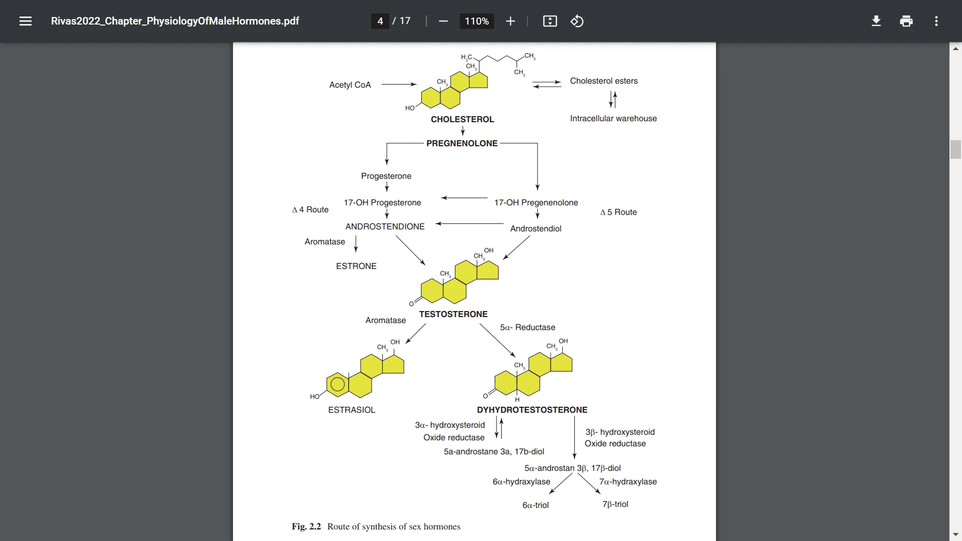 Screenshot (15433).webp