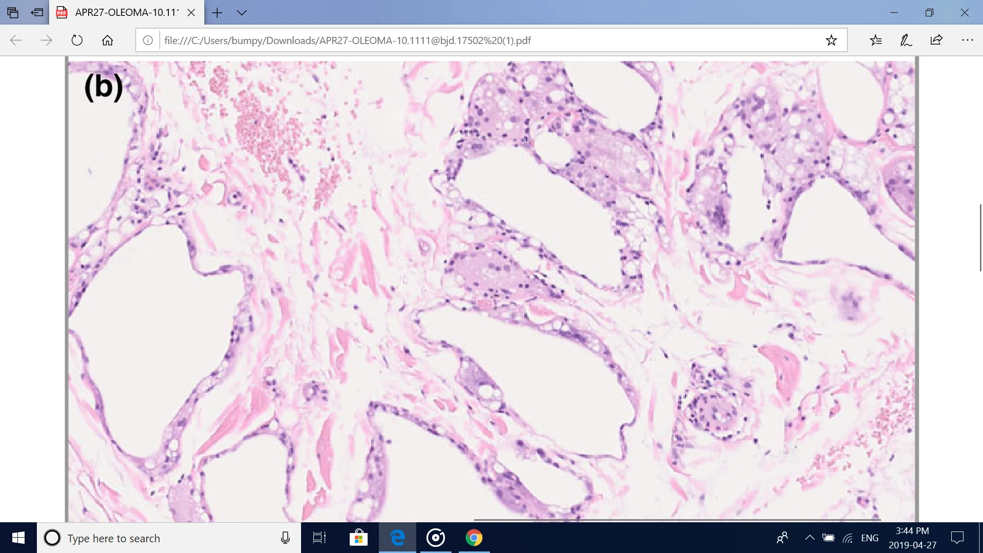 Screenshot (155).webp