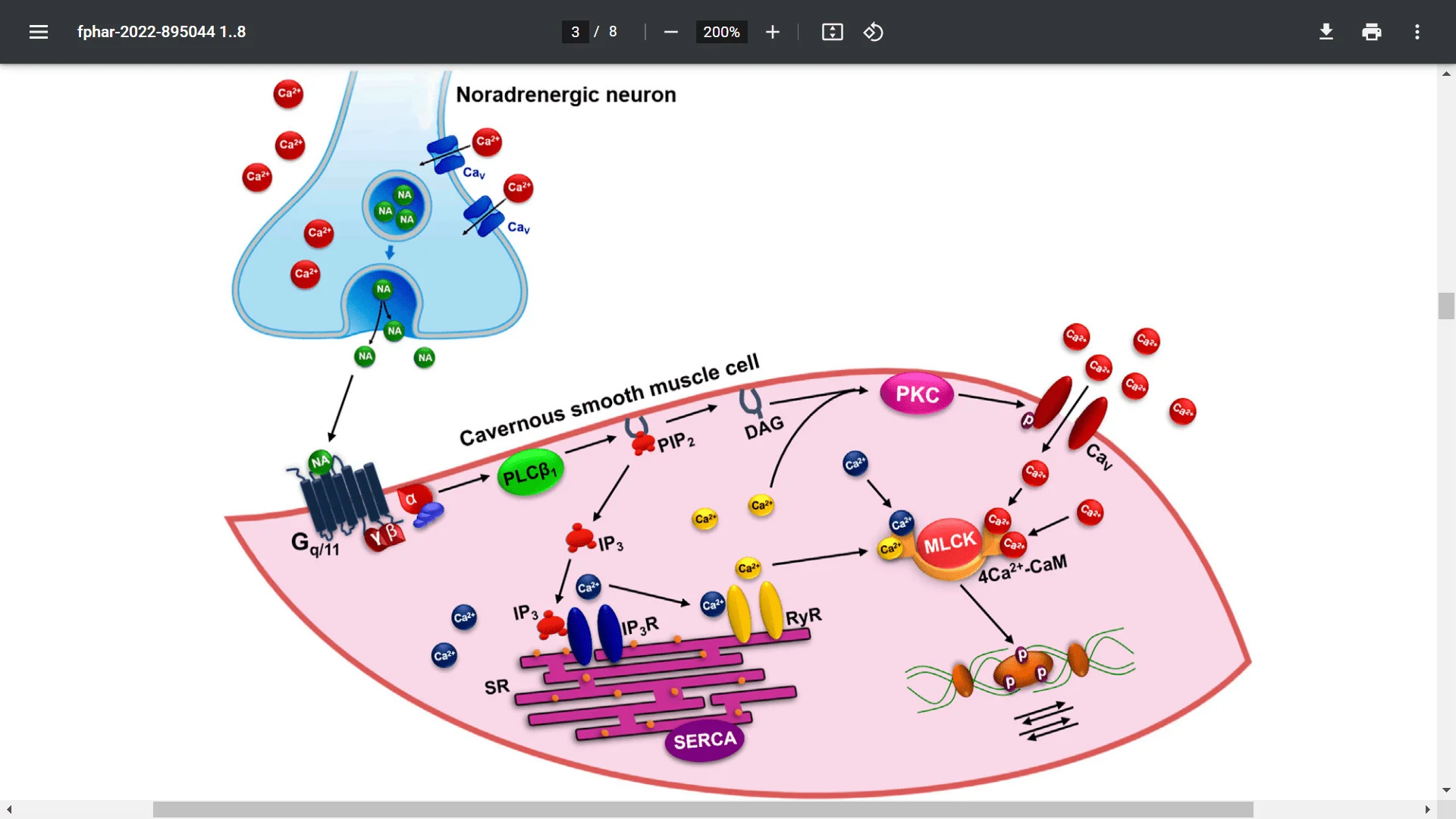 Screenshot (15553).webp