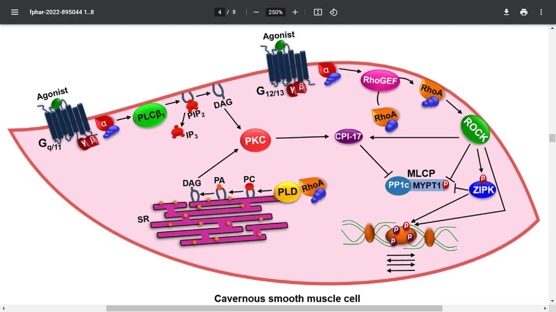 Screenshot (15554).webp