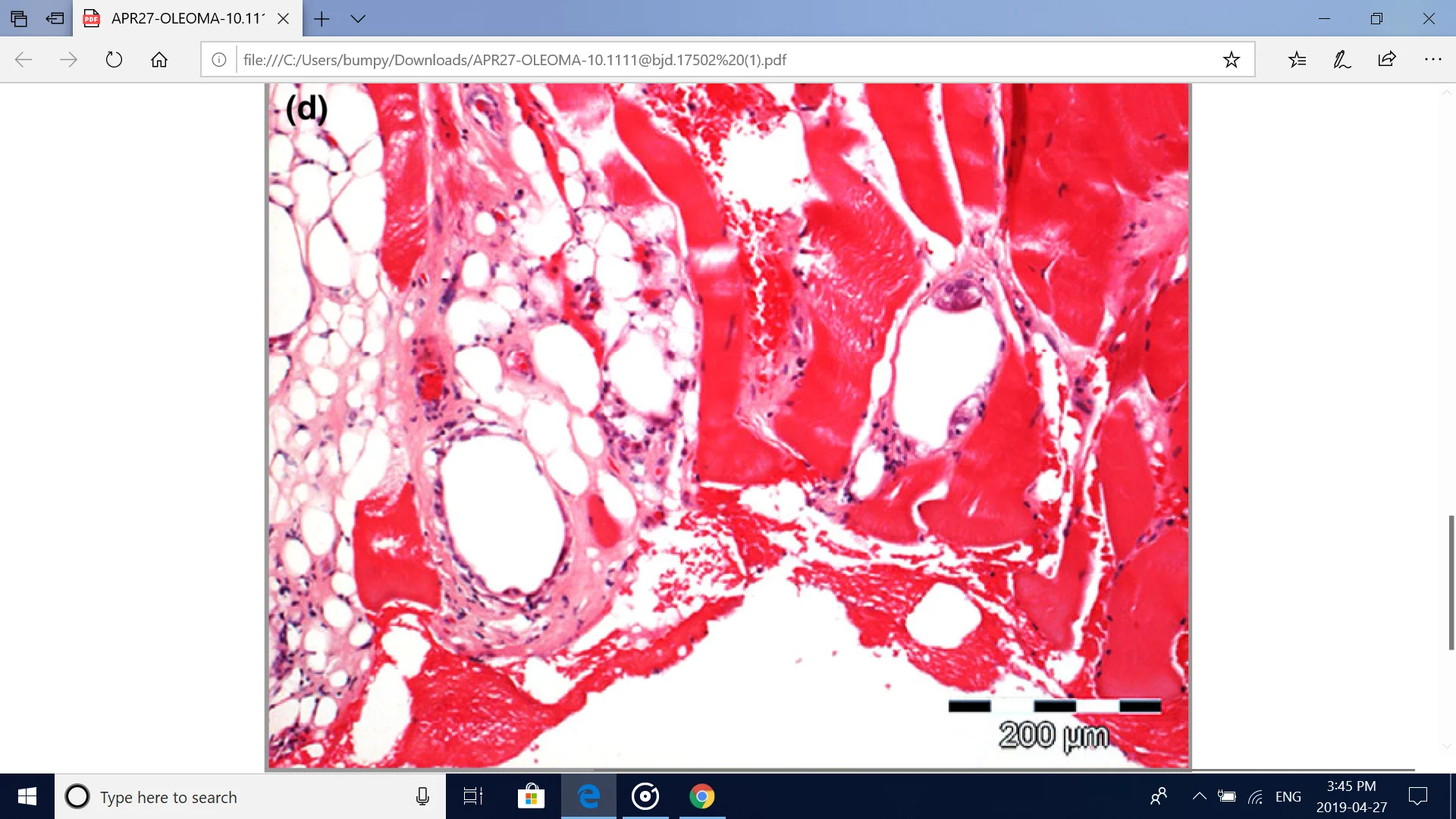 Screenshot (157).webp