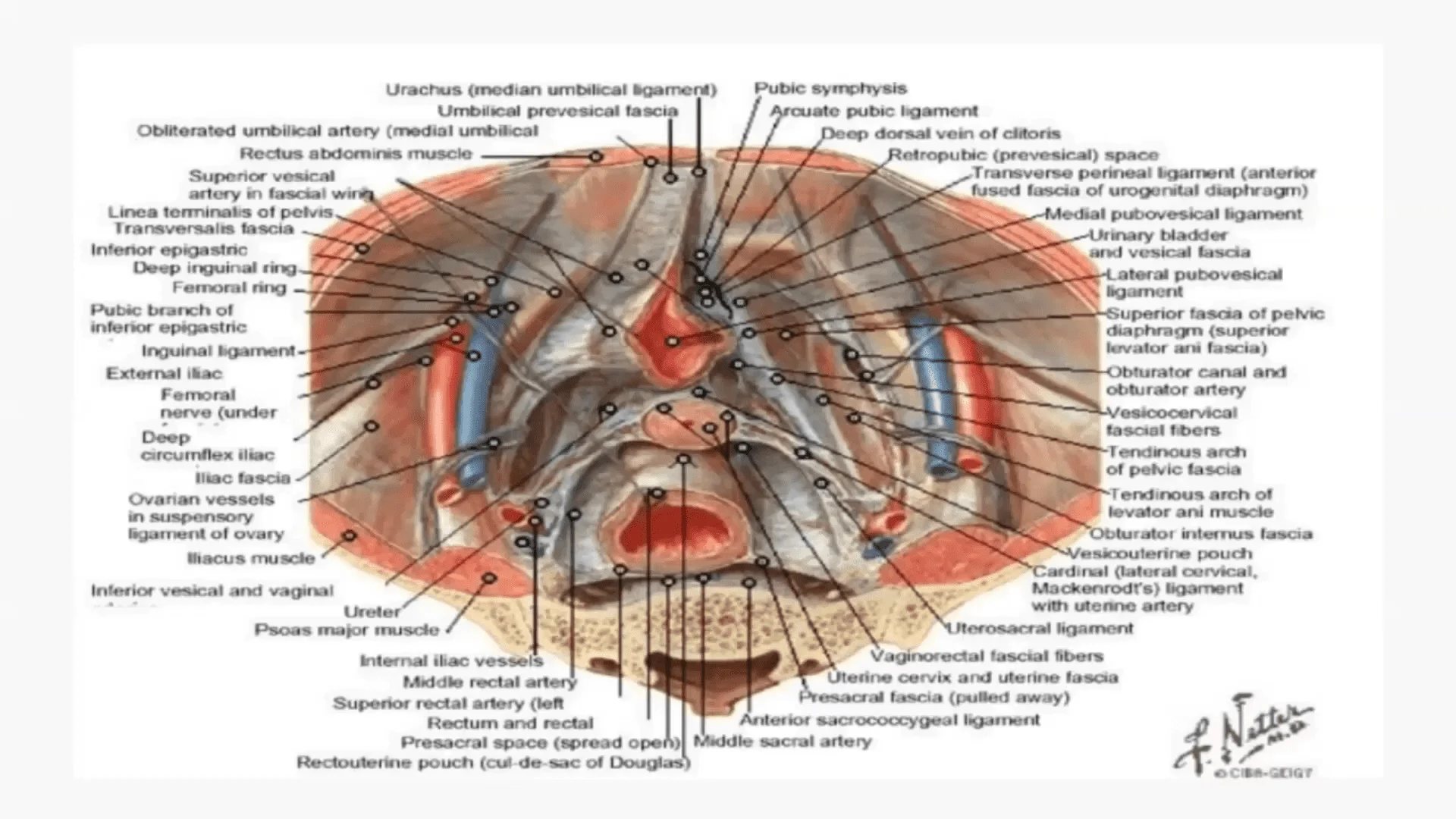 Screenshot (15740).webp