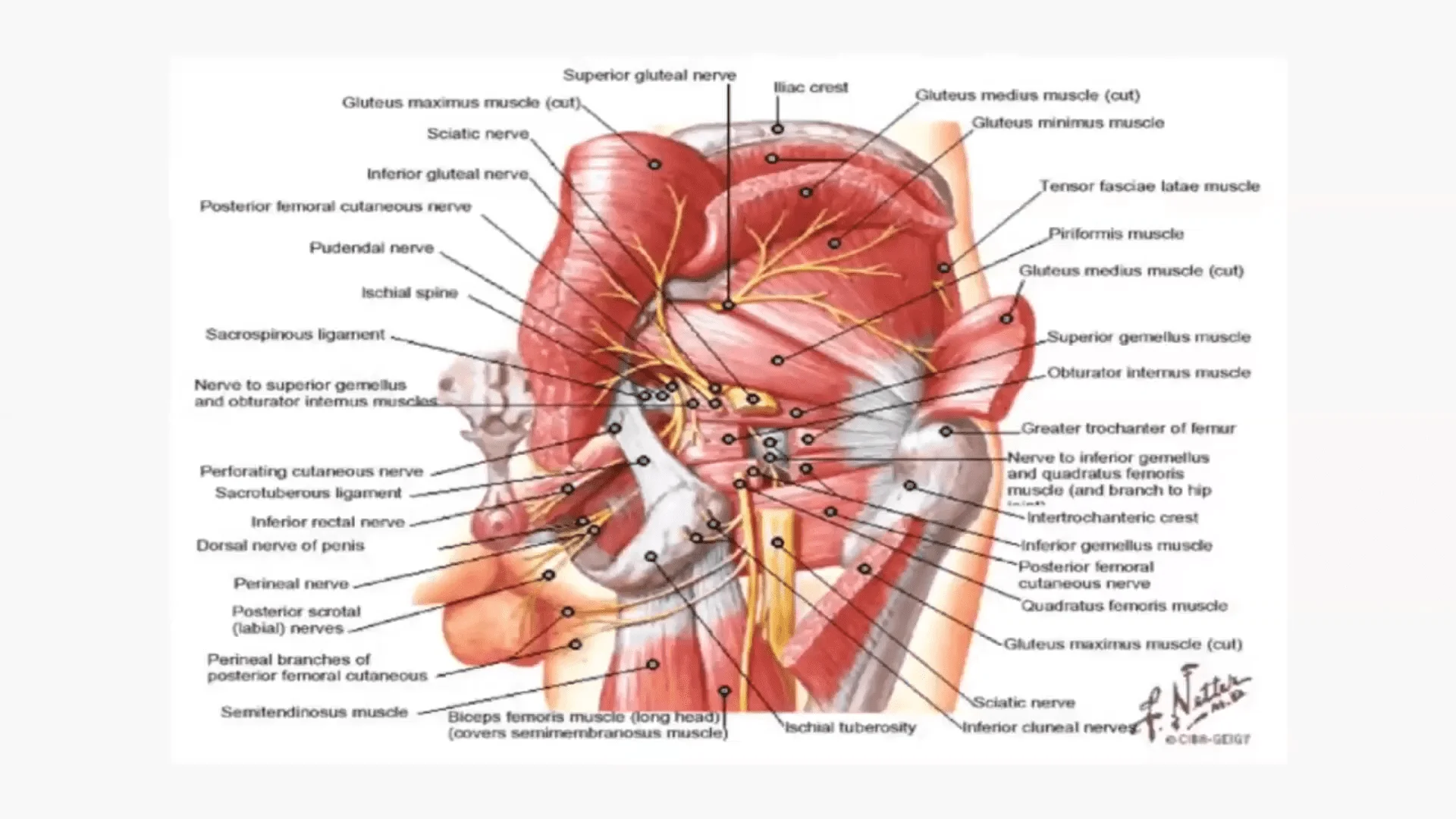 Screenshot (15744).webp