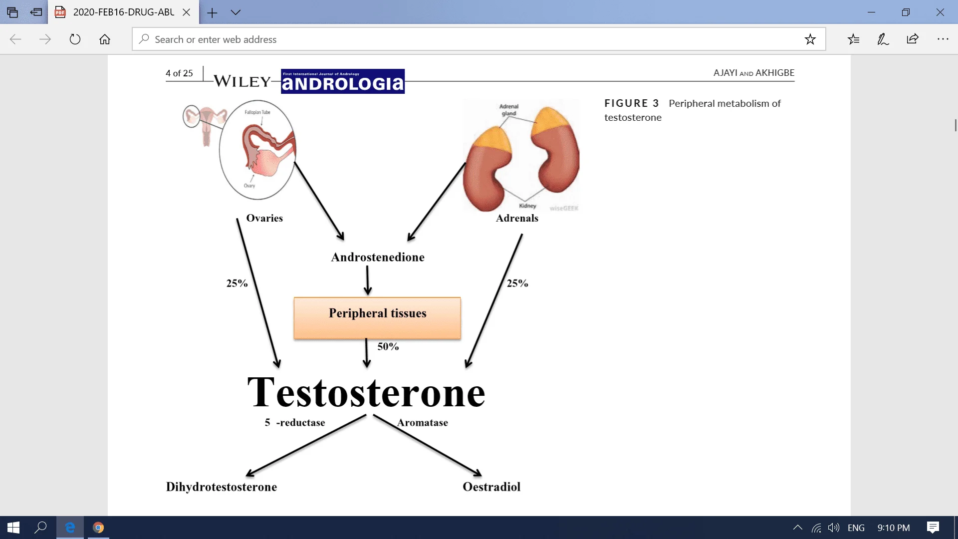 Screenshot (17).webp