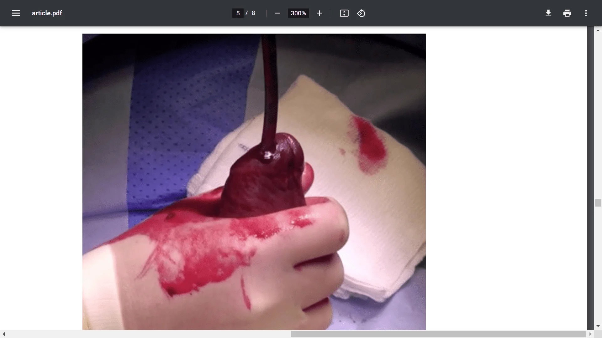 Screenshot (17328).webp