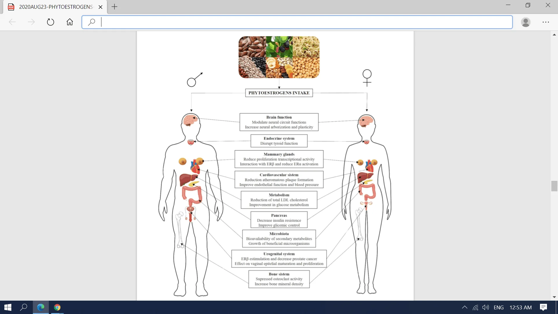 Screenshot (1817).webp