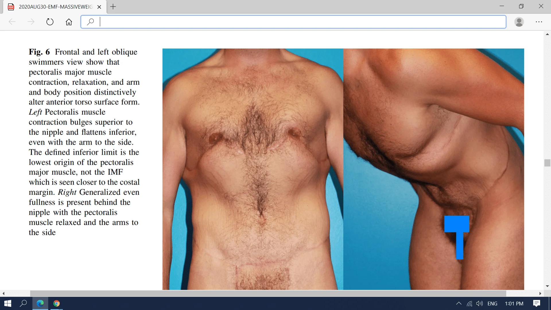 Screenshot (1865).webp