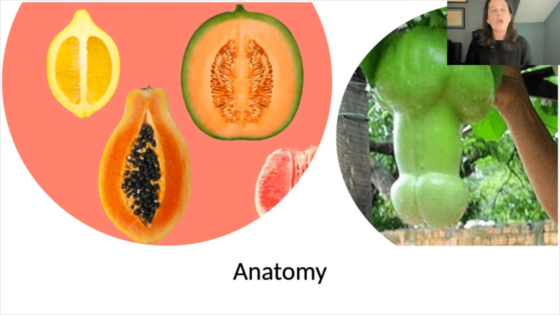 Screenshot (18822).webp